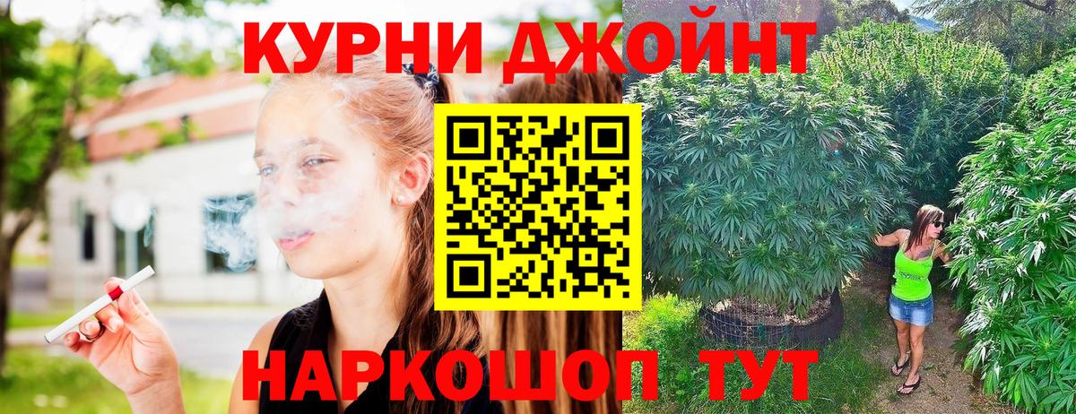 Марихуана гибрид Борзя